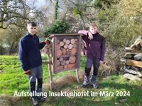 insektenhotel_03_2024