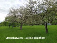 wiese_folkenfloss